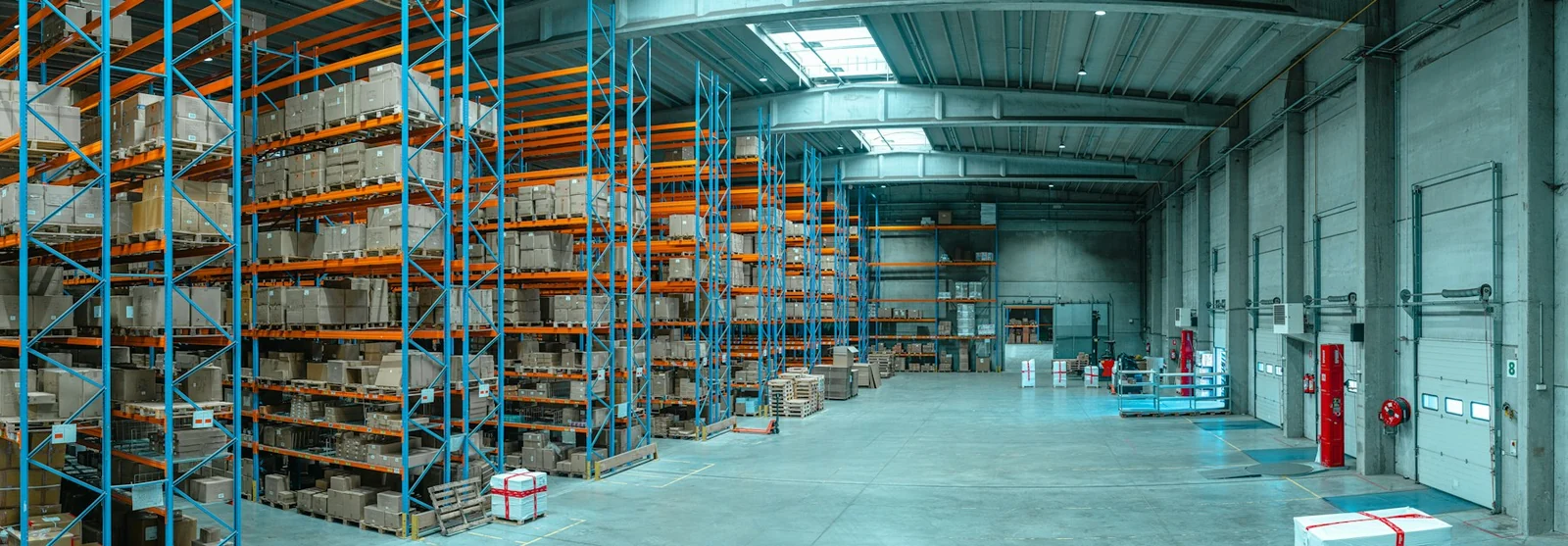 Warehouse shelving and cargo storage areas